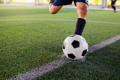 çim halı fiyatları