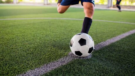 çim halı fiyatları çim halı fiyatları